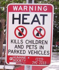 Heat Warning.jpg