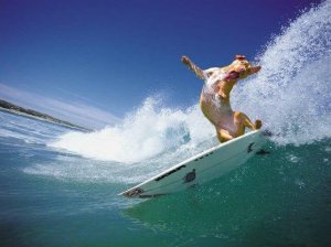 dog-surfing-photos-.jpg