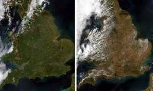 Compare May and July UK.jpg