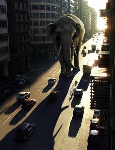 D293E679-1C2A-45BC-98E3-958AF838537F.jpeg