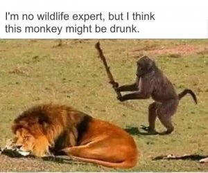BAA0EC76-5811-47A7-8C57-97165858CF97.jpeg