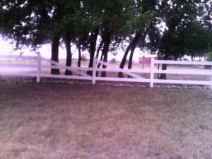 IMG_20180730_071531.jpg