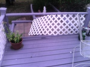 IMG_20180730_071445.jpg