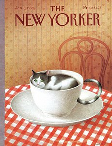 cat-sits-inside-a-coffee-cup-gurbuz-dogan-eksiogl.jpg