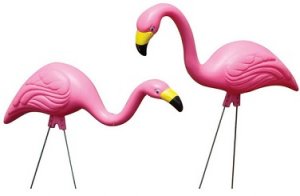 flamingos.jpg
