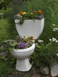 9561622fde229d0d350063960a58e983--toilet-planter-garden-ideas-planters.jpg