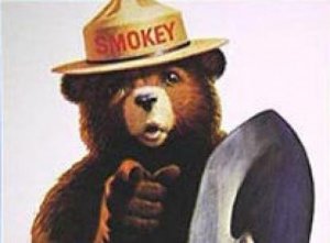 Smokey-bear.jpg