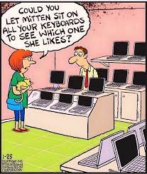 sitonkeyboard.jpg