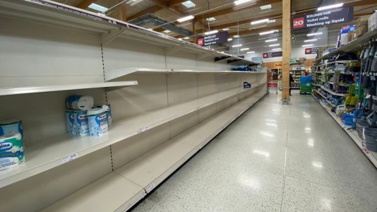 empty TP shelves.jpg