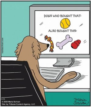 dogsbought.jpg