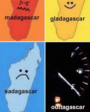 468325477_996151229196419_6773600013475824241_n.jpg