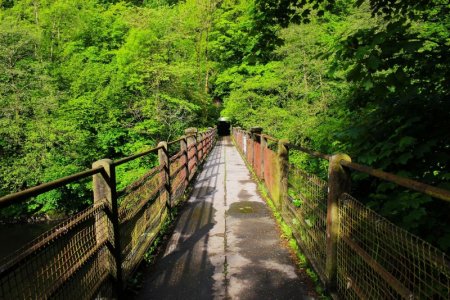 green bridge-2331928_1280.jpg