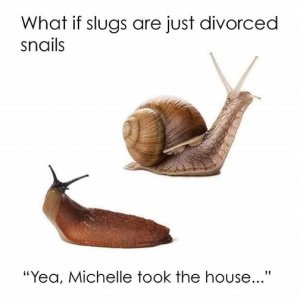 slugs.jpg