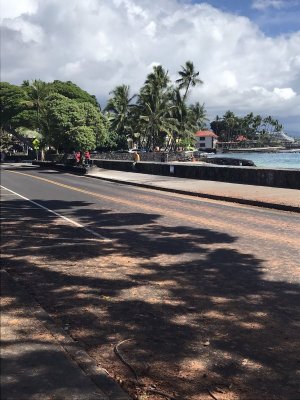 Heilo Hawaii1.JPEG Heilo Hawaii1.JPEG