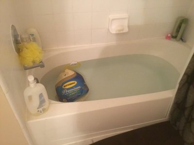 1732613142293.jpeg 1732613142293.jpeg