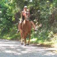 IMG_0204.jpeg