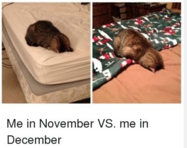 efgwrgt.JPG