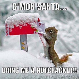b3e2bd7083d6571e20a11c0d5ba1c45e--fun-stuff.jpg