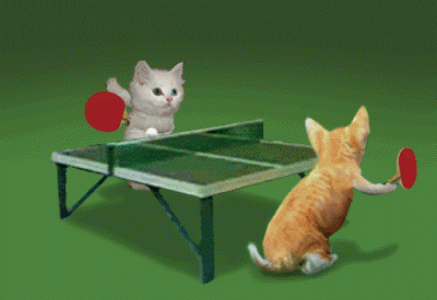 R (4).gif