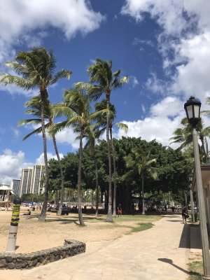 Downtown Honolulu.JPEG