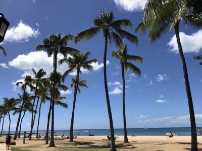 wikiki Beach3.JPEG