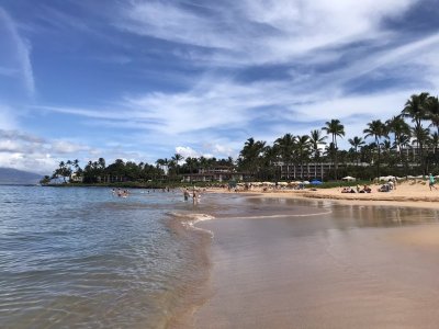 Beach on Maui1.JPEG