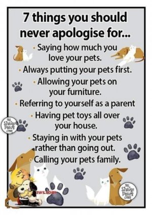 FB_IMG_1723532087530.jpg