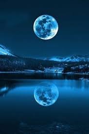 IMG_6885.jpeg