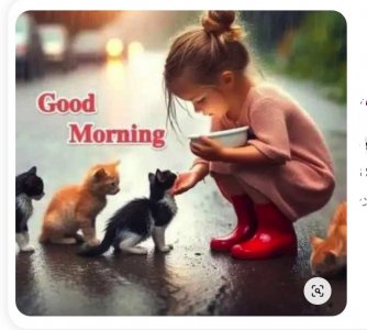 good morning cat s girl.jpeg