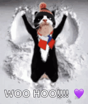 1732720991073.gif