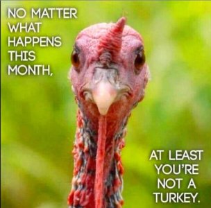 FB_IMG_1732679110199.jpg