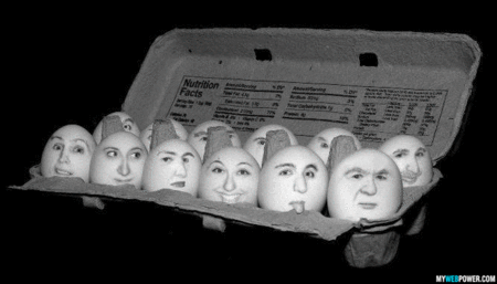 funny_weird_eggs.gif