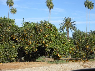 IMG_6475.JPG