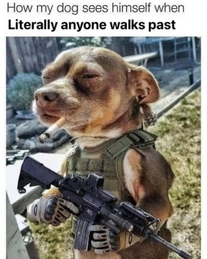 1000006776.jpg