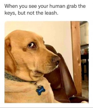 1000006778.jpg