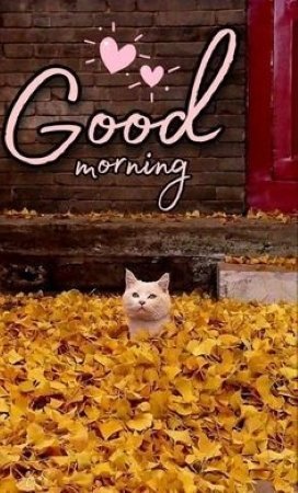 Good Morning Blessings.jpg