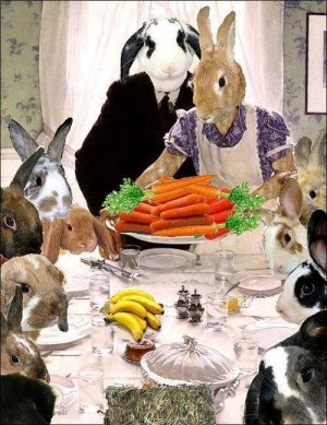 thanksgiving0.jpg