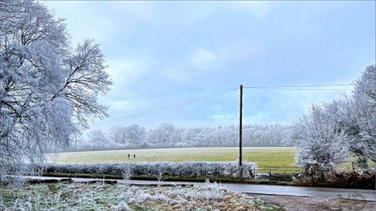 frosty morn  HD.jpeg