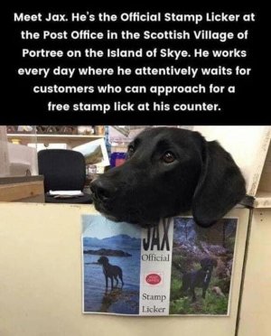 1000006786.jpg