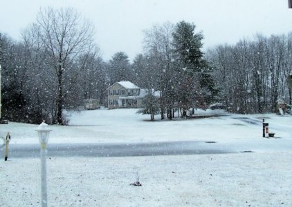 snow - Thanksgiving 2024.jpg