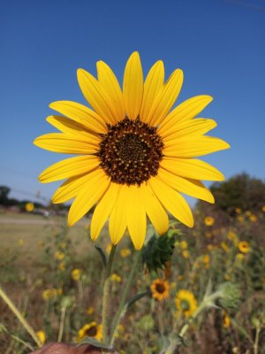 20210906_171538.jpg