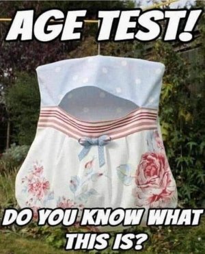 peg bag.jpg