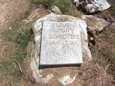 Someone Stood Too Close to the Blowhole.jpg