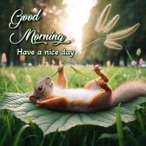 c1bdb3ea62204b1904d64d2e0c3152b4[1].jpg
