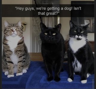 1000006827.jpg