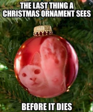 ornament.jpg