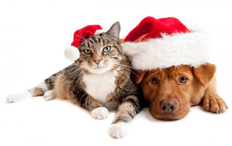 xmas hats.jpg