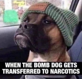 animal2.jpg