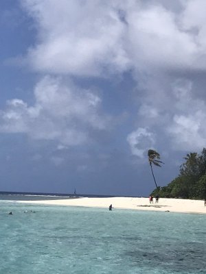 Making land on Gorgeous Beach.JPEG