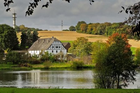 green landscape.jpg